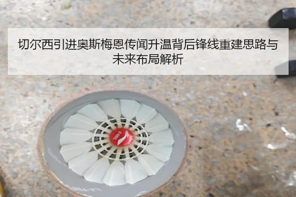 切尔西引进奥斯梅恩传闻升温背后锋线重建思路与未来布局解析