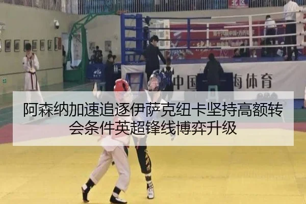 阿森纳加速追逐伊萨克纽卡坚持高额转会条件英超锋线博弈升级